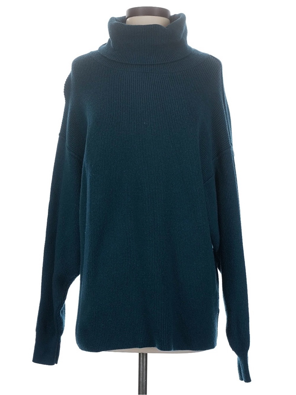 Woman’s Free People Turtleneck Sweater in Teal